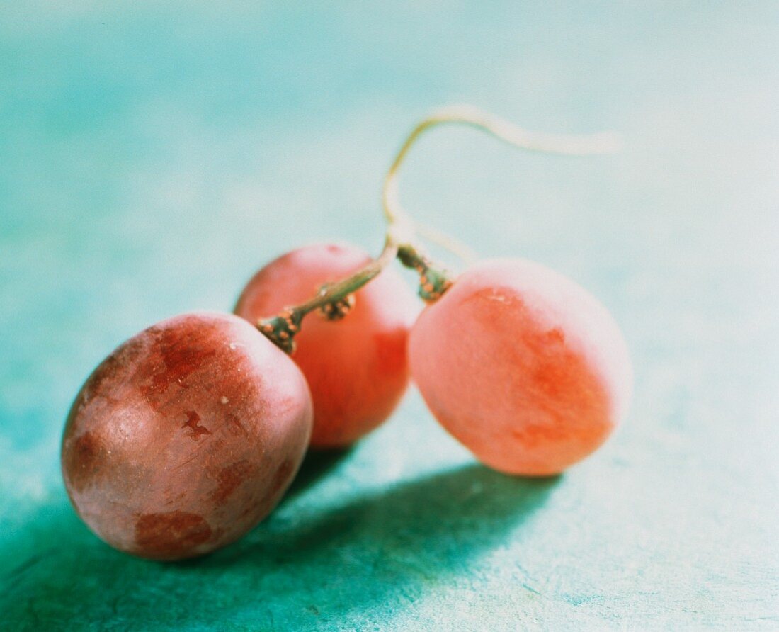 Red Globe Grapes