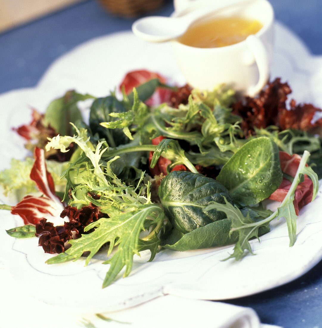 Mixed Mesclun Salad