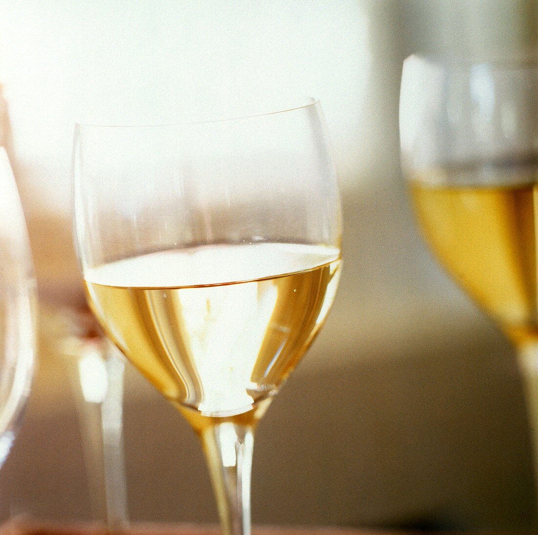 Einige Gläser Weißwein (Sauvignon Blanc)
