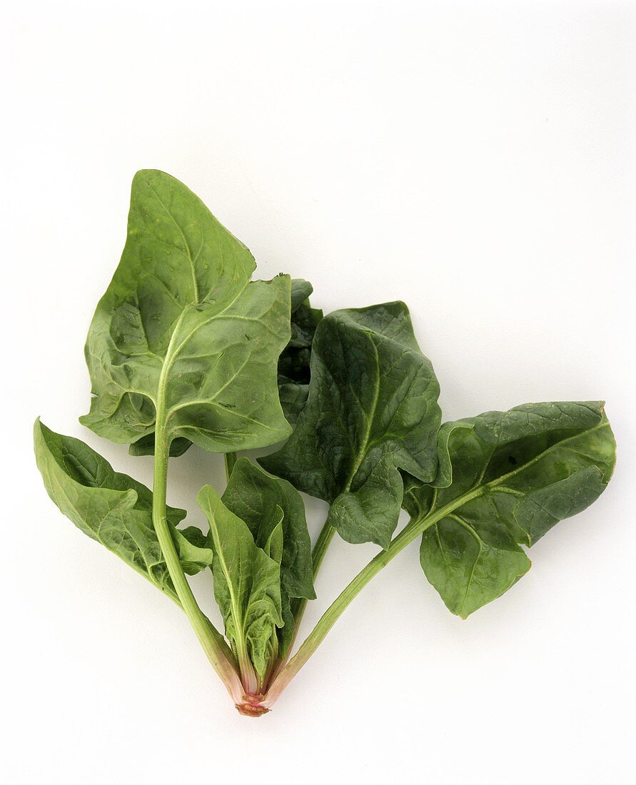 Leaves of Spinach