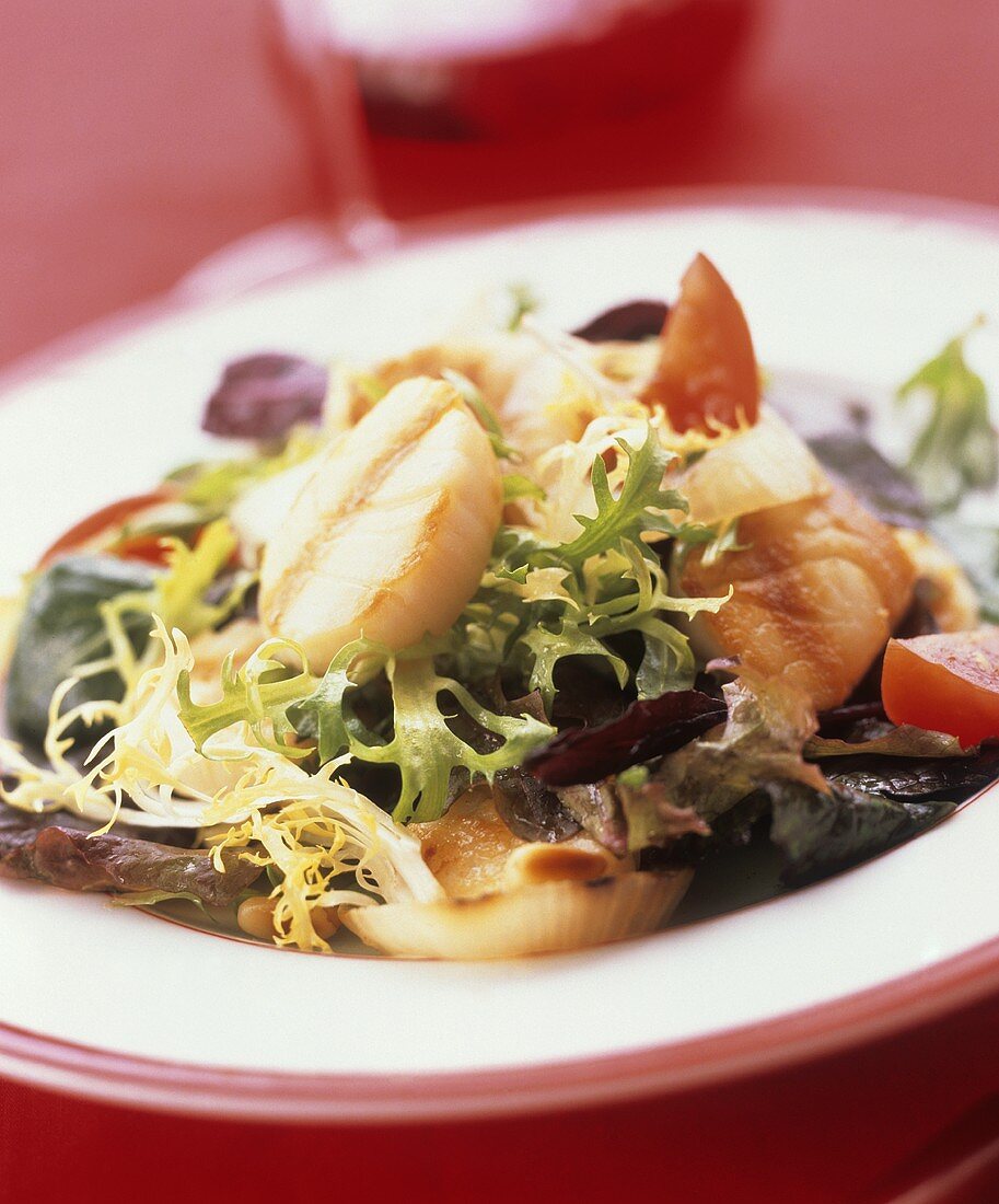 Gemischter Salat mit Jakobsmuscheln