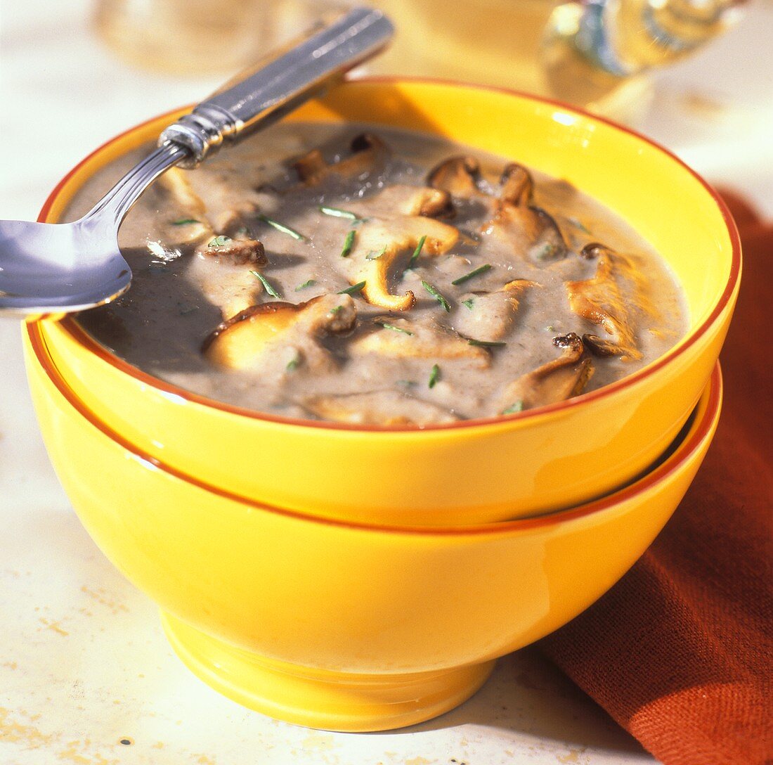 Mushroom Soup with Chives in Yellow Bowl