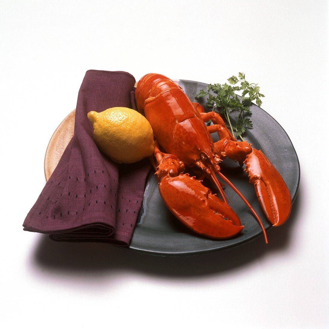 Boiled Lobster