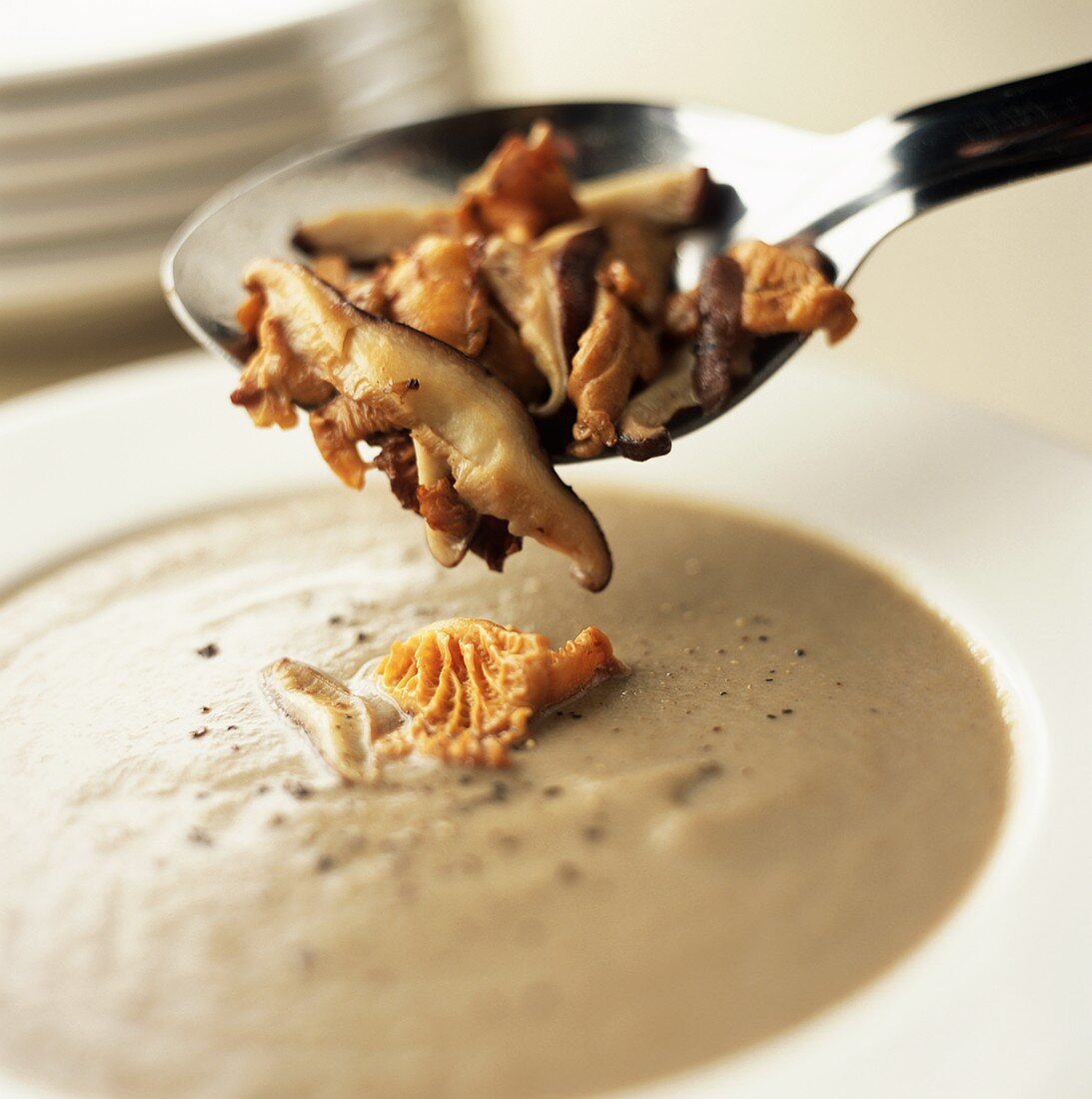 Putting a spoonful of mushrooms into mushroom soup