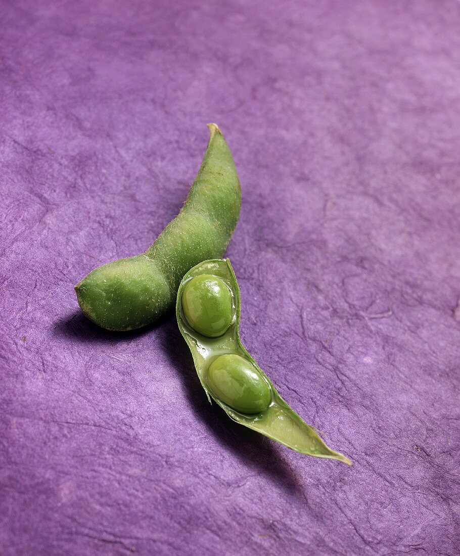 Whole and half soya bean pod on purple background