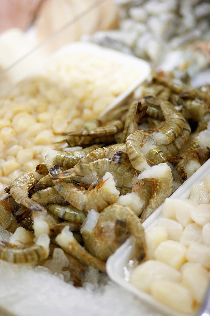 Frische Shrimps und Jakobsmuscheln im Supermarkt