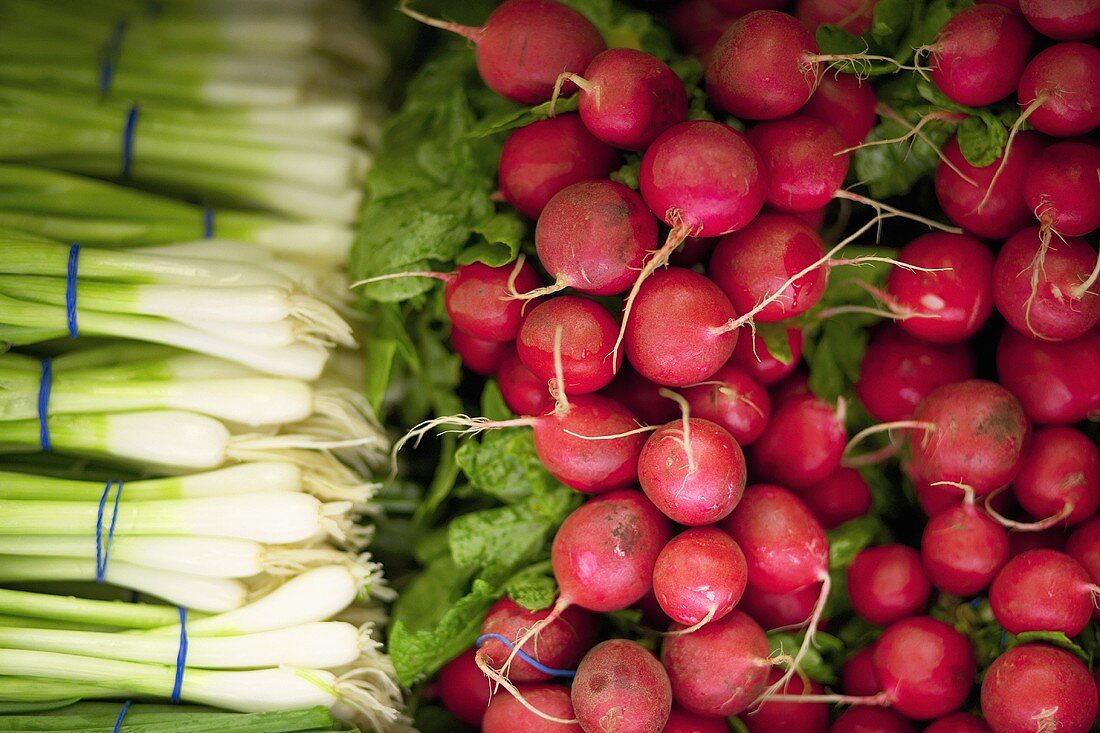 Radishes and spring onions on a market stall