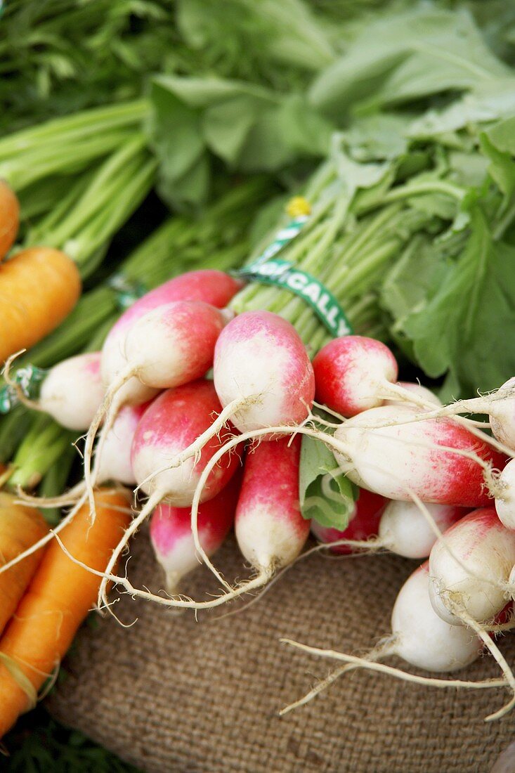 Bunches of Radishes and Carrots at a Farmers Market