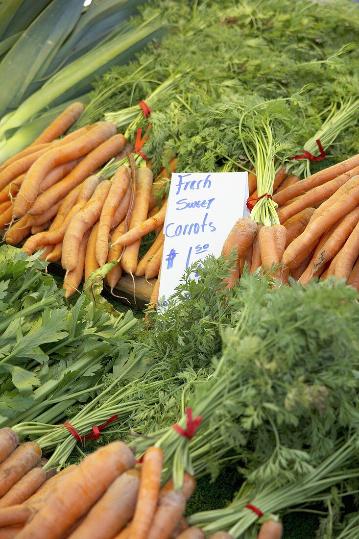 Fresh carrots at a farmer's market (USA)