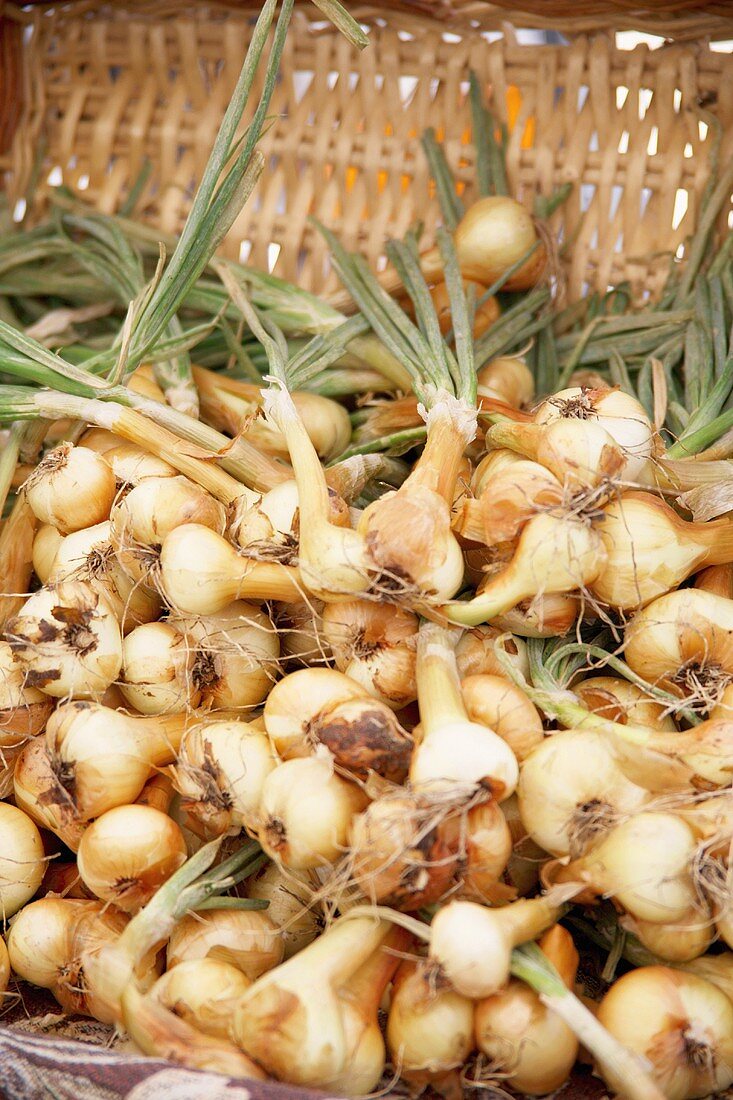 Fresh onions at a market