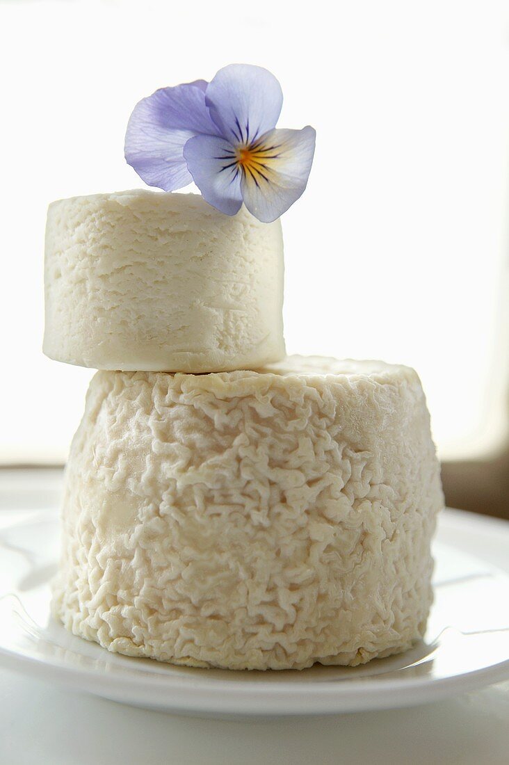 Two goat's cheeses with blue pansy