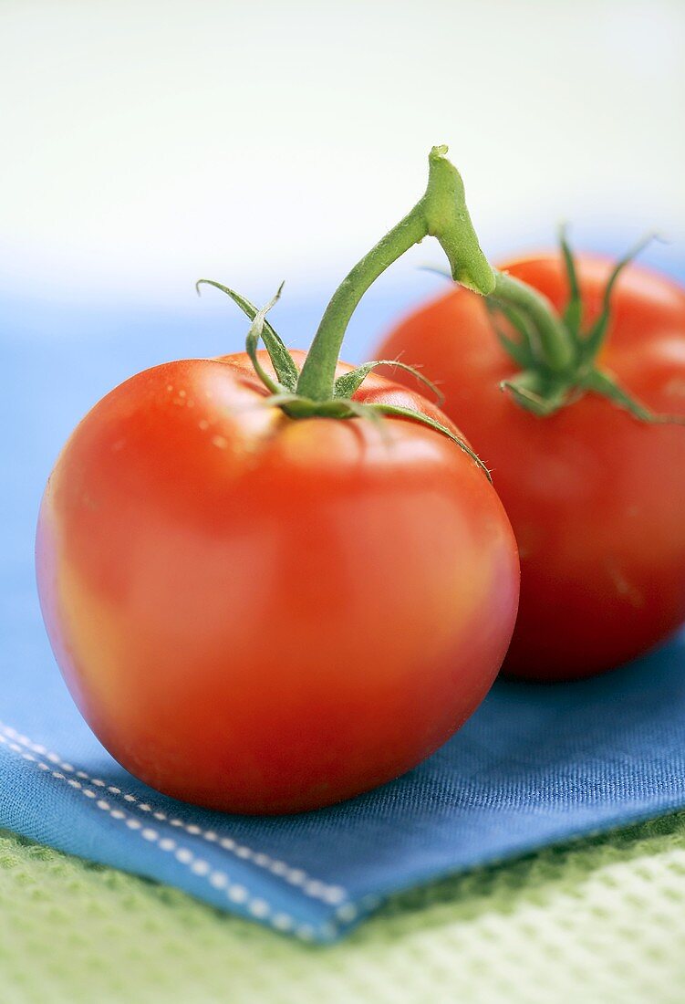 Zwei frische Strauchtomaten auf blauem Tuch