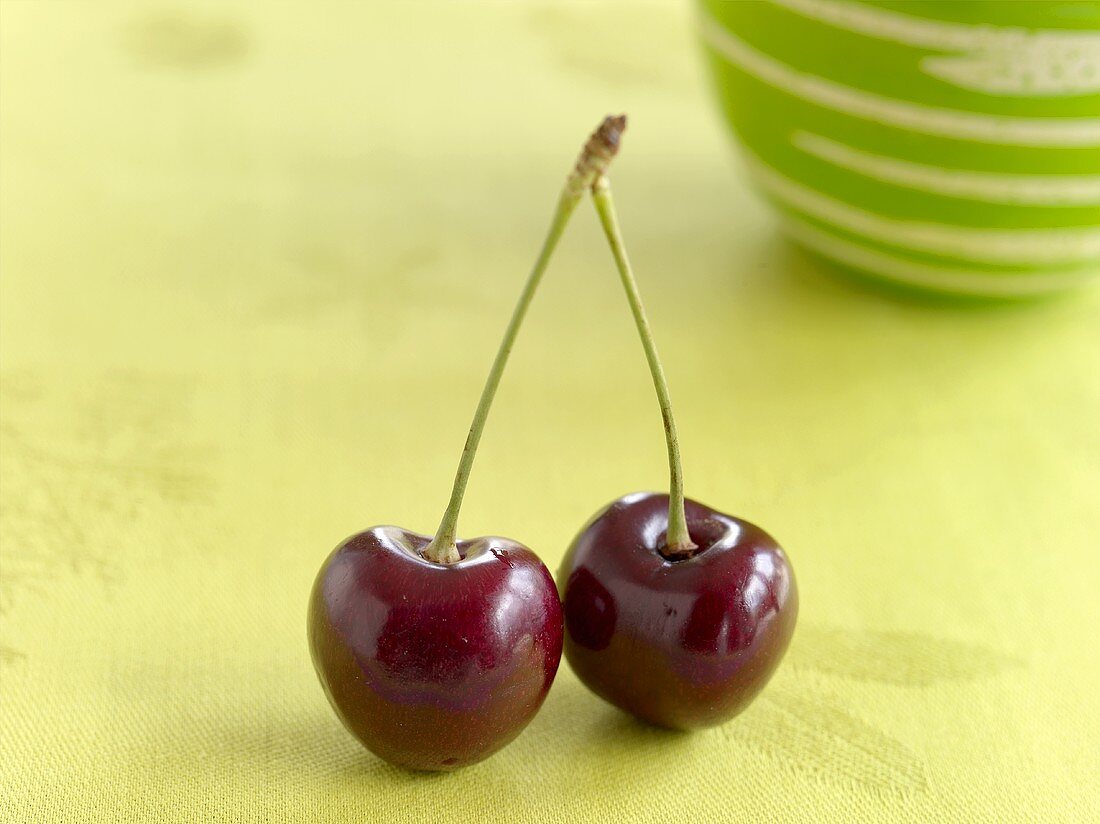 Two cherries on a stalk