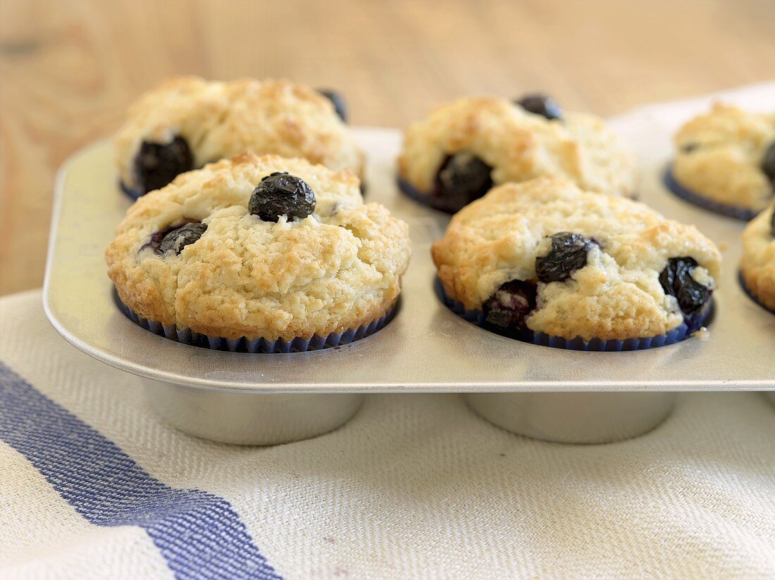 Freshly-baked blueberry muffins in baking tin