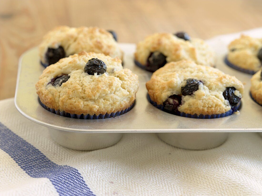 Frisch gebackene Heidelbeermuffins in der Backform