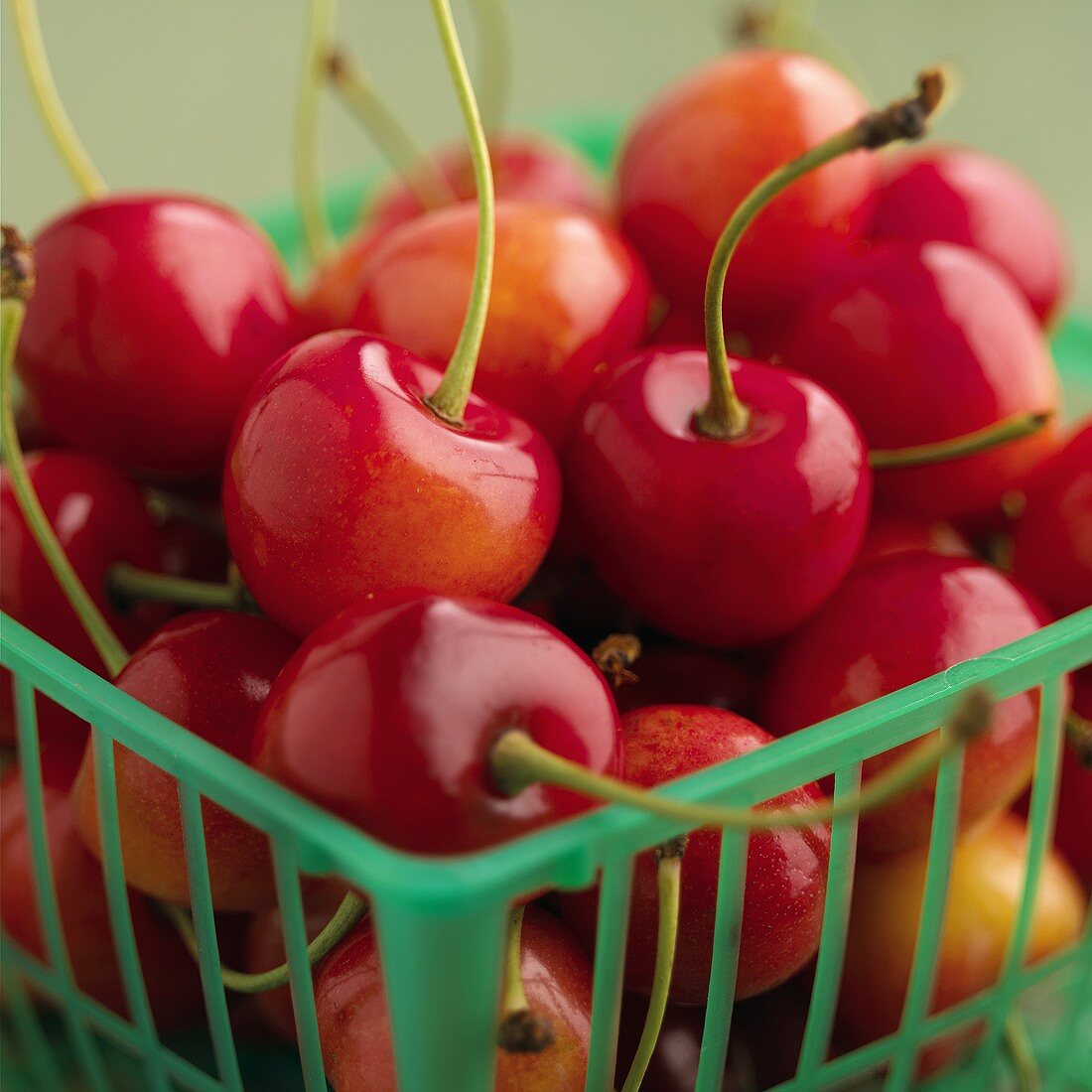 Cherries in a plastic basket (detail)
