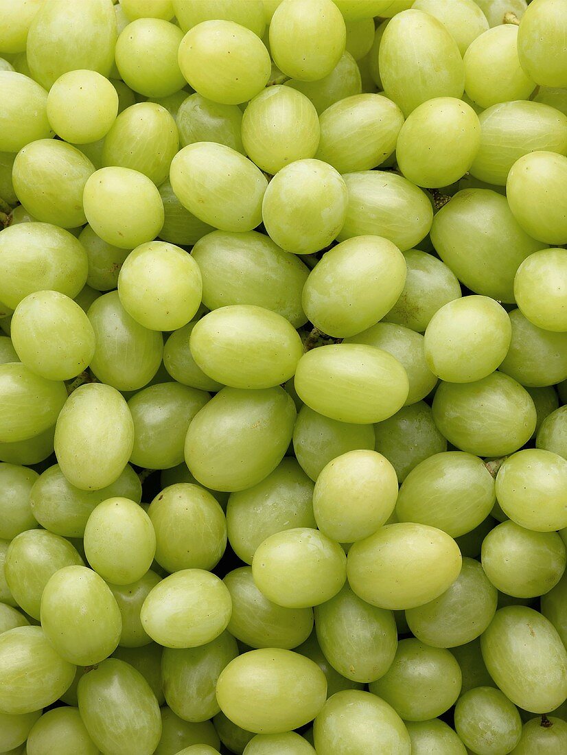 Many green grapes (full-frame)