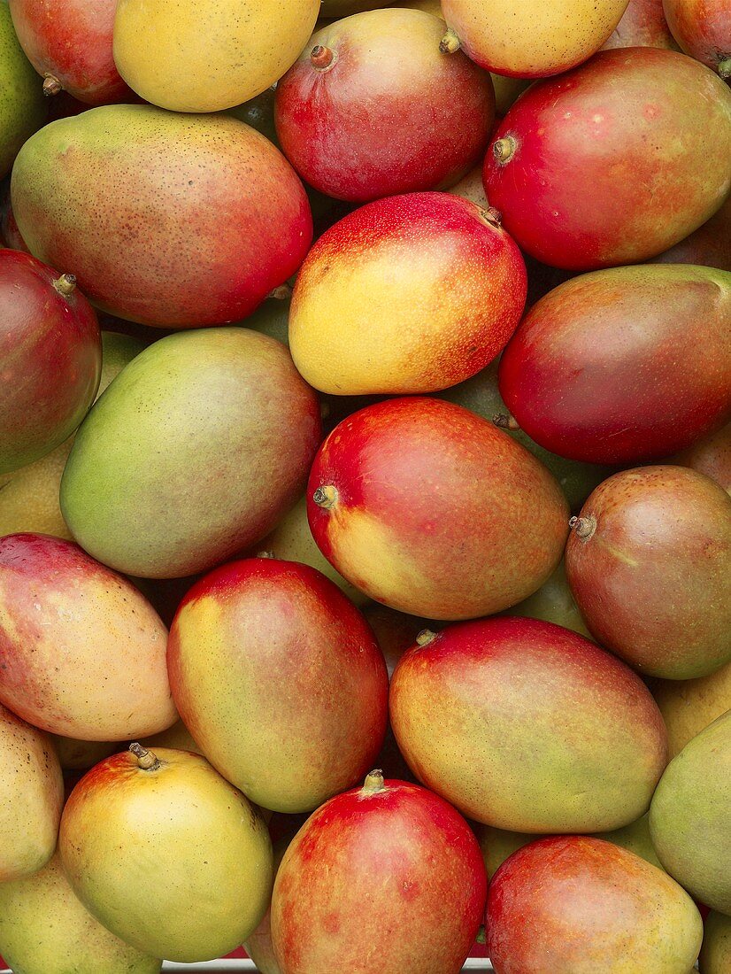 Viele ganze Mangos (bildfüllend)