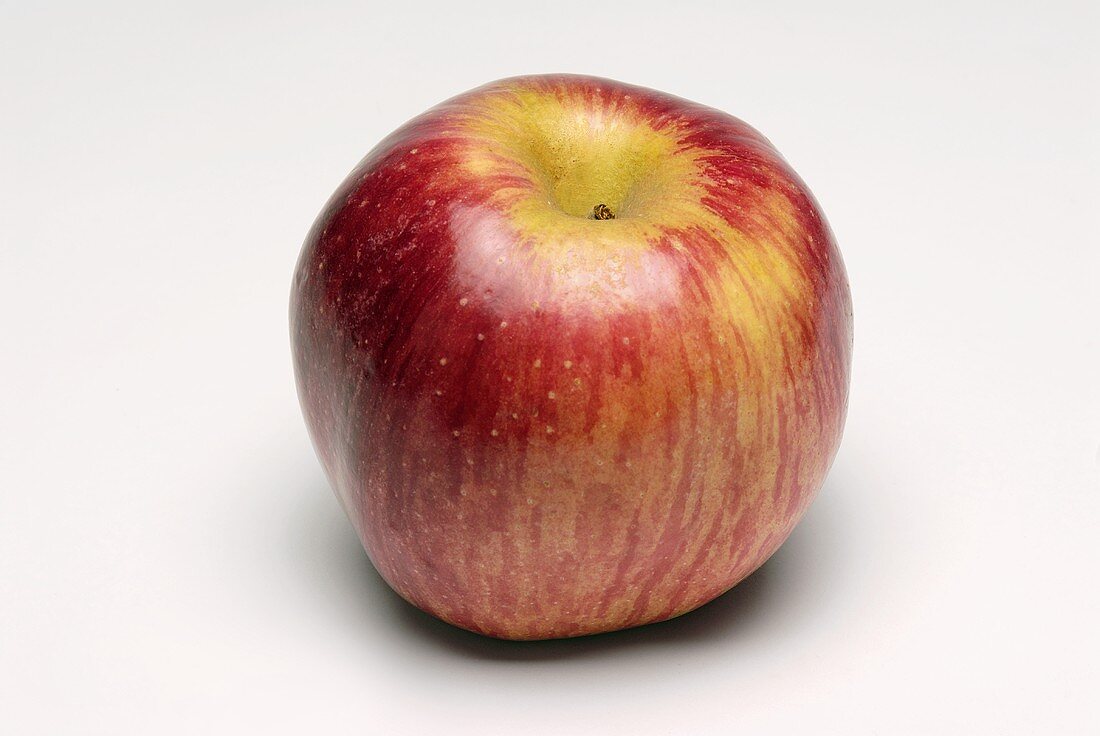 Ein roter Apfel (Sorte: Eve's Delight)