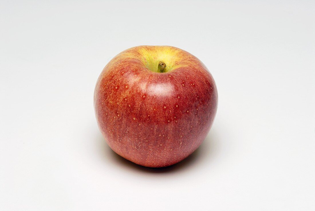 A Gala apple
