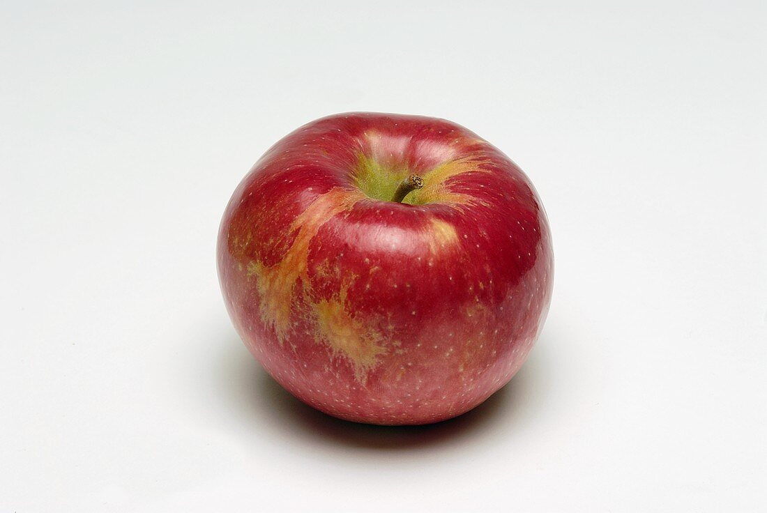 Ein roter Apfel (Sorte: Honey Crisp)
