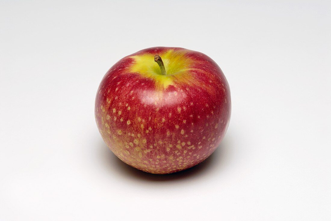 A Jonagold apple