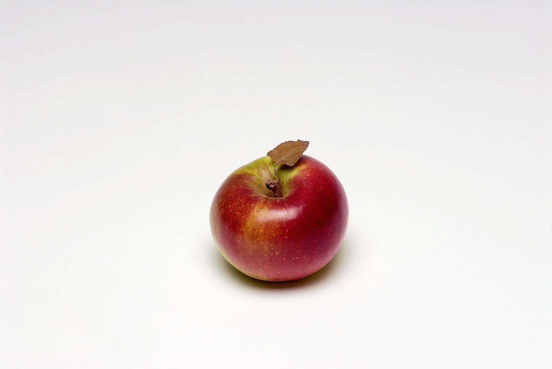 A red Lady apple with leaf