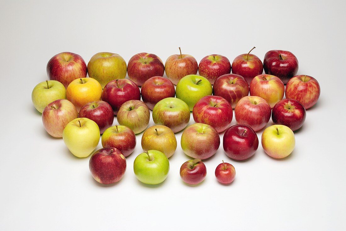 Viele verschiedene Äpfel (zweiunddreissig Sorten)