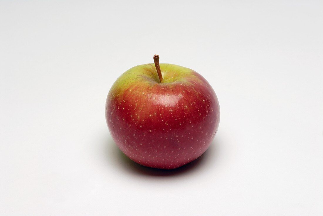 A red and green apple (variety: Baldwin)