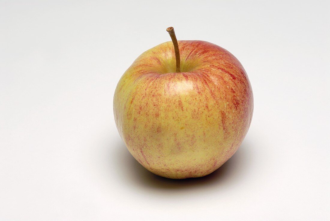 Ein rot-gelber Apfel (Sorte: Cameo)