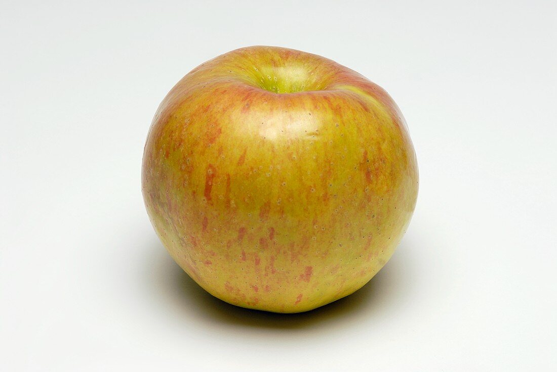 A Cox's Orange Pippin apple
