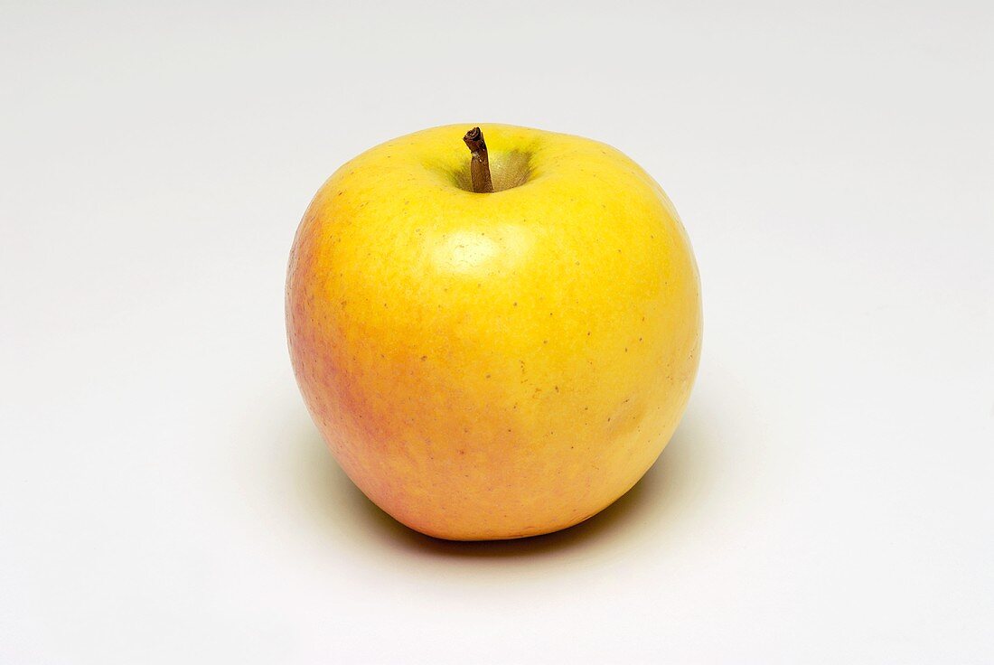 Ein gelber Apfel (Sorte: Suncrisp)