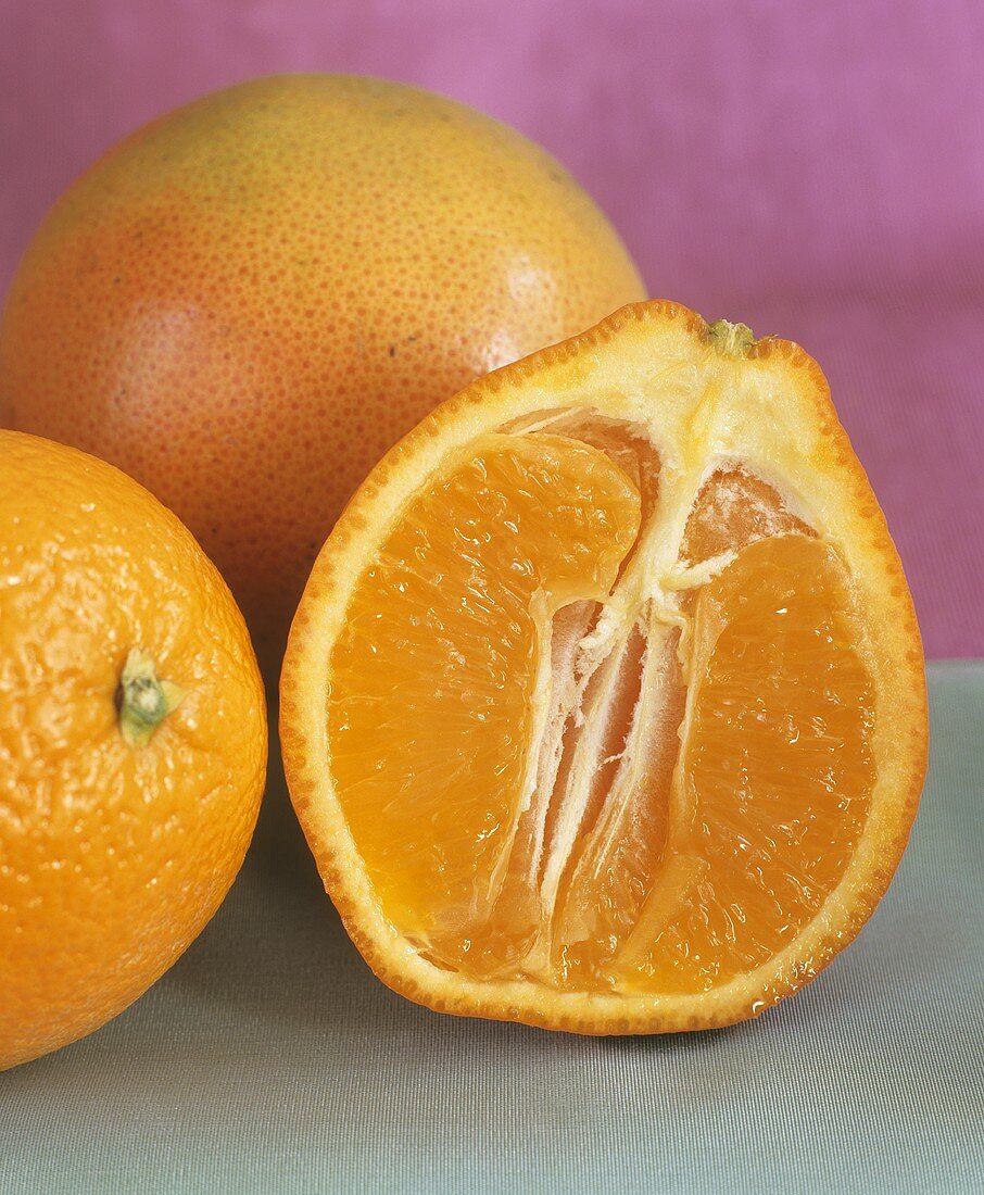 Stillleben mit Orangen und Grapefruit