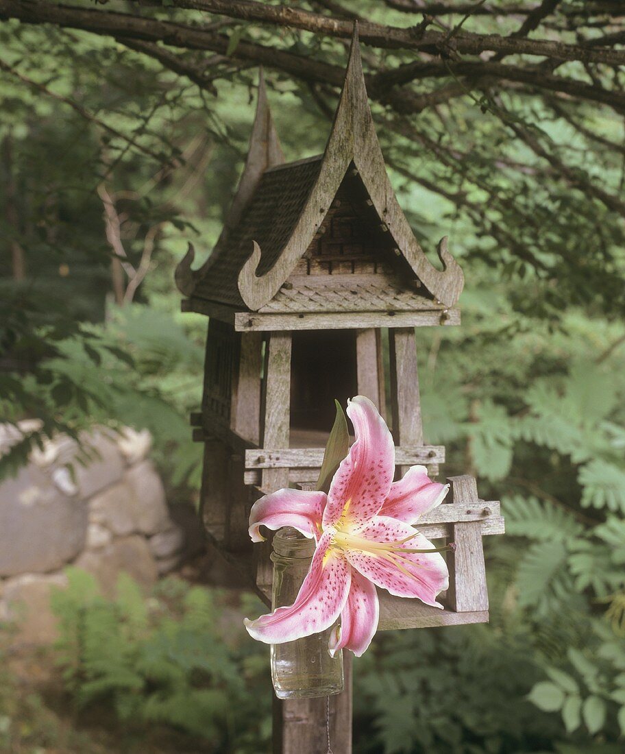 A lily on a bird house