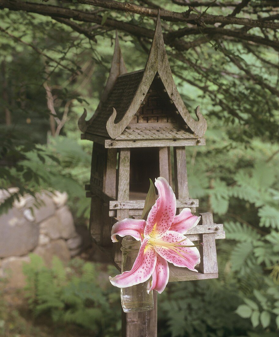 Eine Lilienblüten an einem Vogelhäuschen