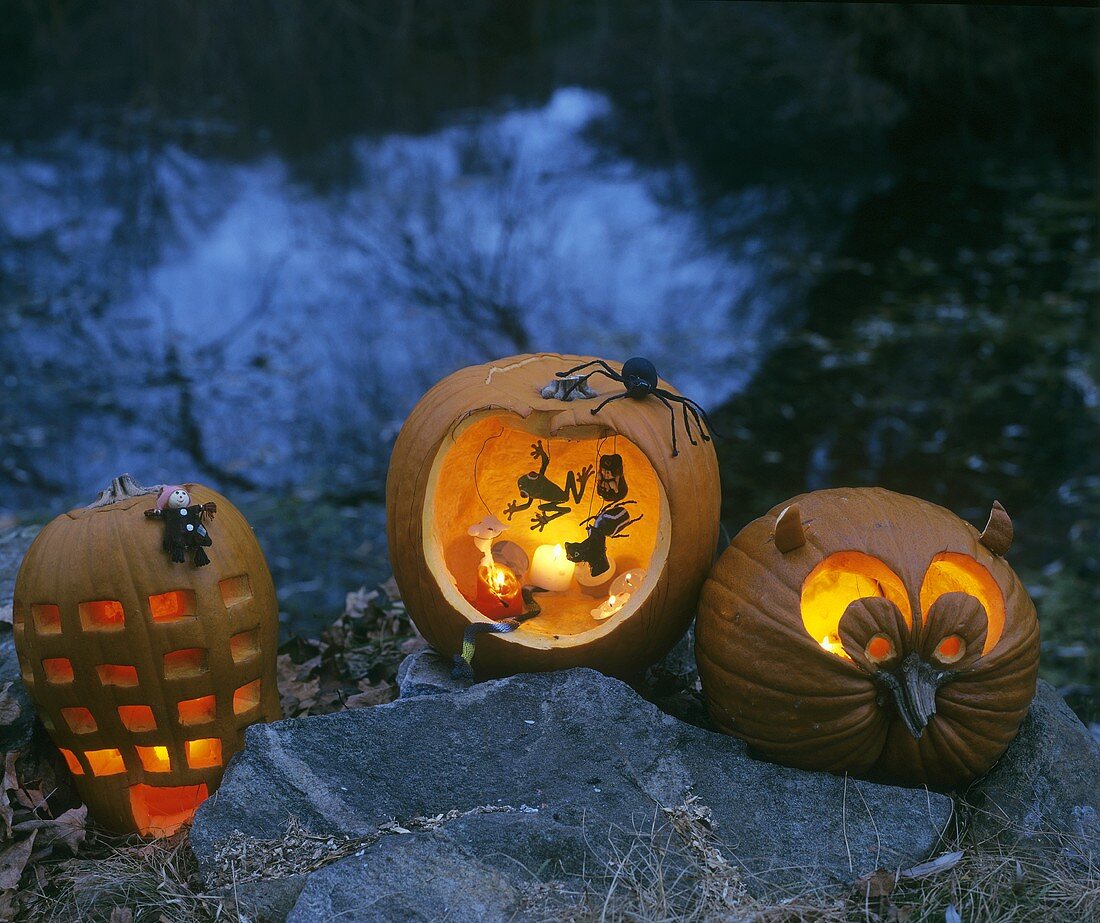 Illuminated pumpkins for Halloween
