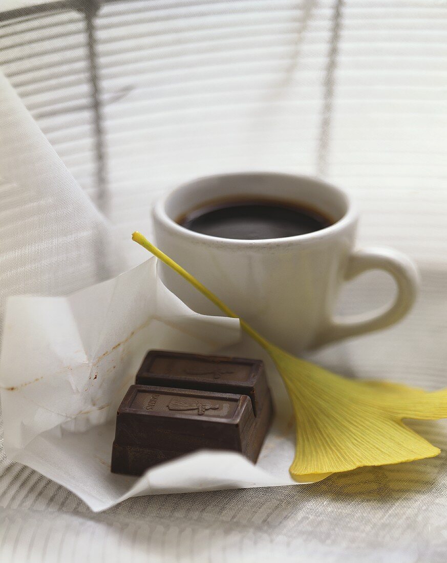 Schokoladenstücke, Ginkgoblatt und Espresso