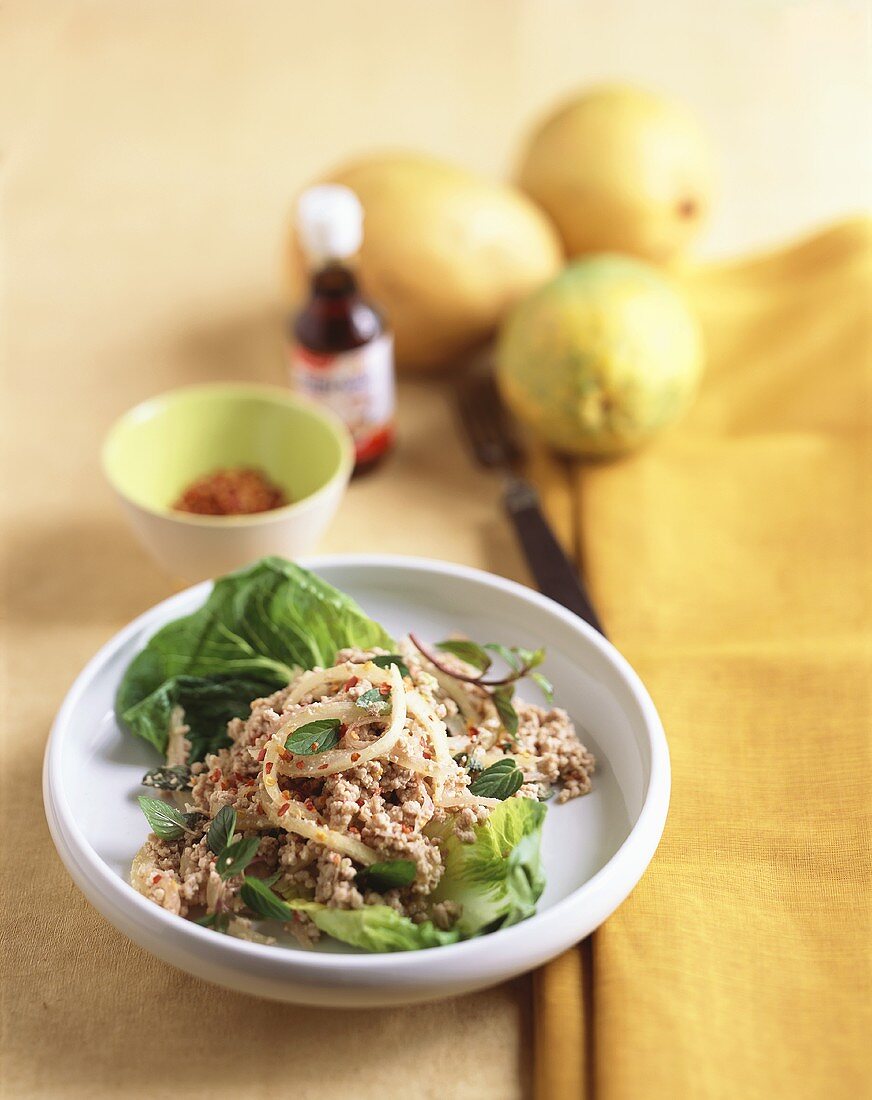 Thai mince salad with mint leaves