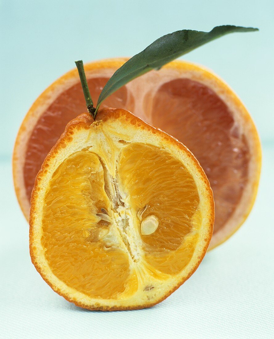 Orangenhälfte und Grapefruithälfte