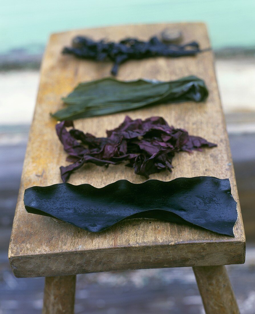 Various types of edible seaweed