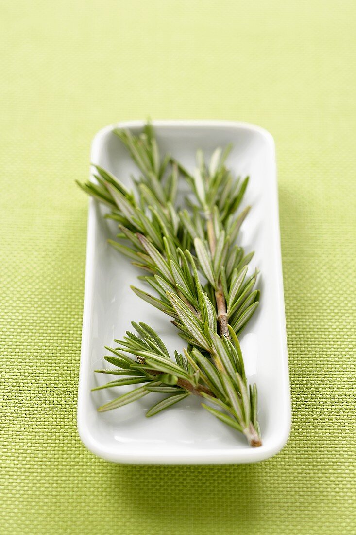 Rosemary Branch on a Small Rectangular Dish