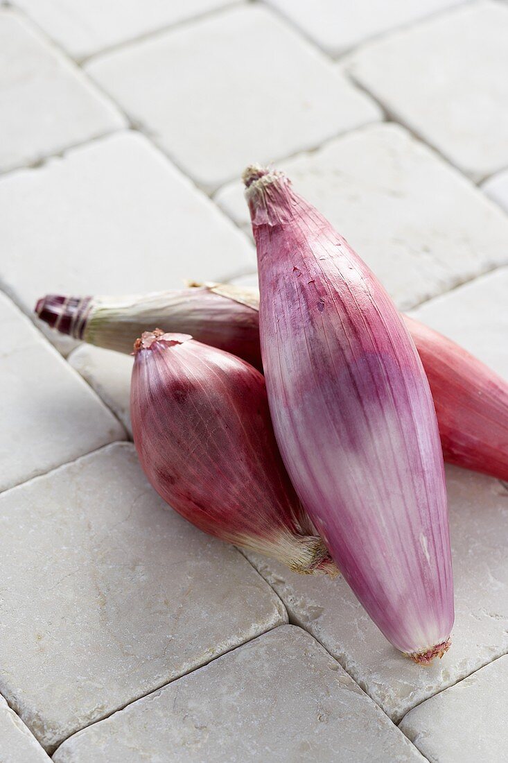 Three Red Torpedo Tropea Onions