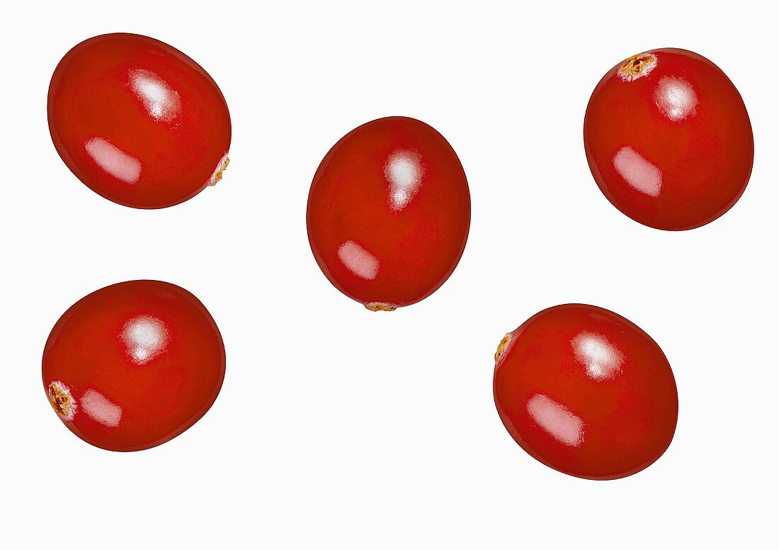 Five Cranberries on a White Background