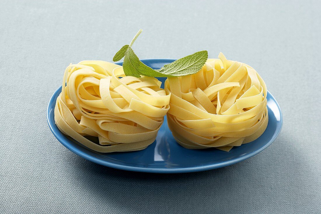 Two Fettuccini Noodle Nests on a Blue Plate