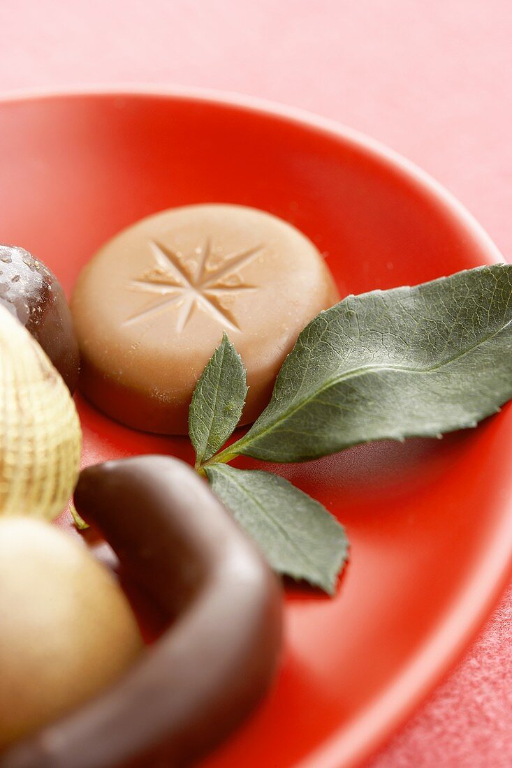 Assorted Chocolates on a Red Plate