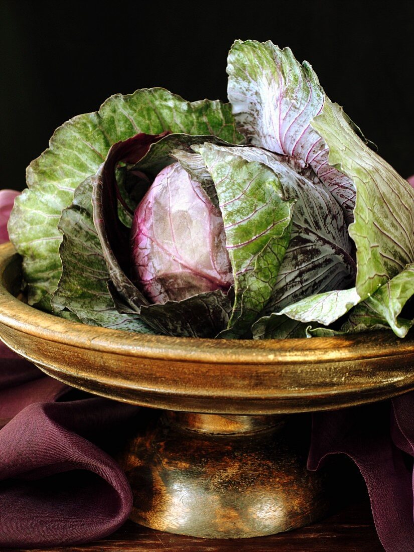 Frischer Rotkohl in einer Schale