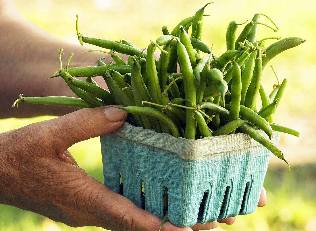 Hands Holding a Carton of Freshly Picked String Beans