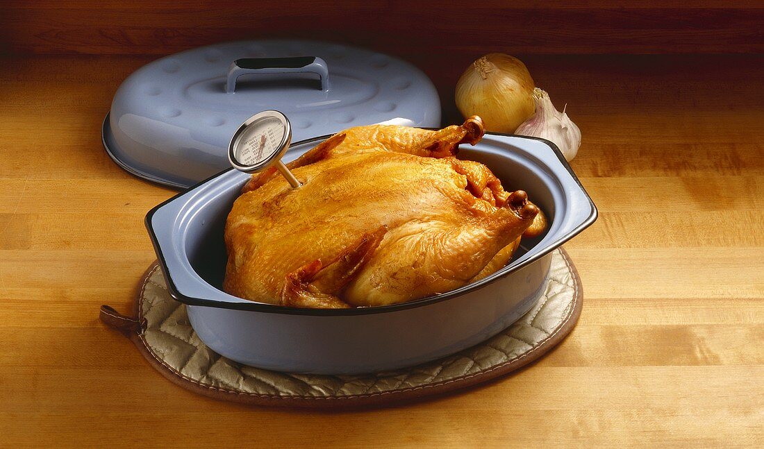 Roasted Chicken in Pan with Meat Thermometer