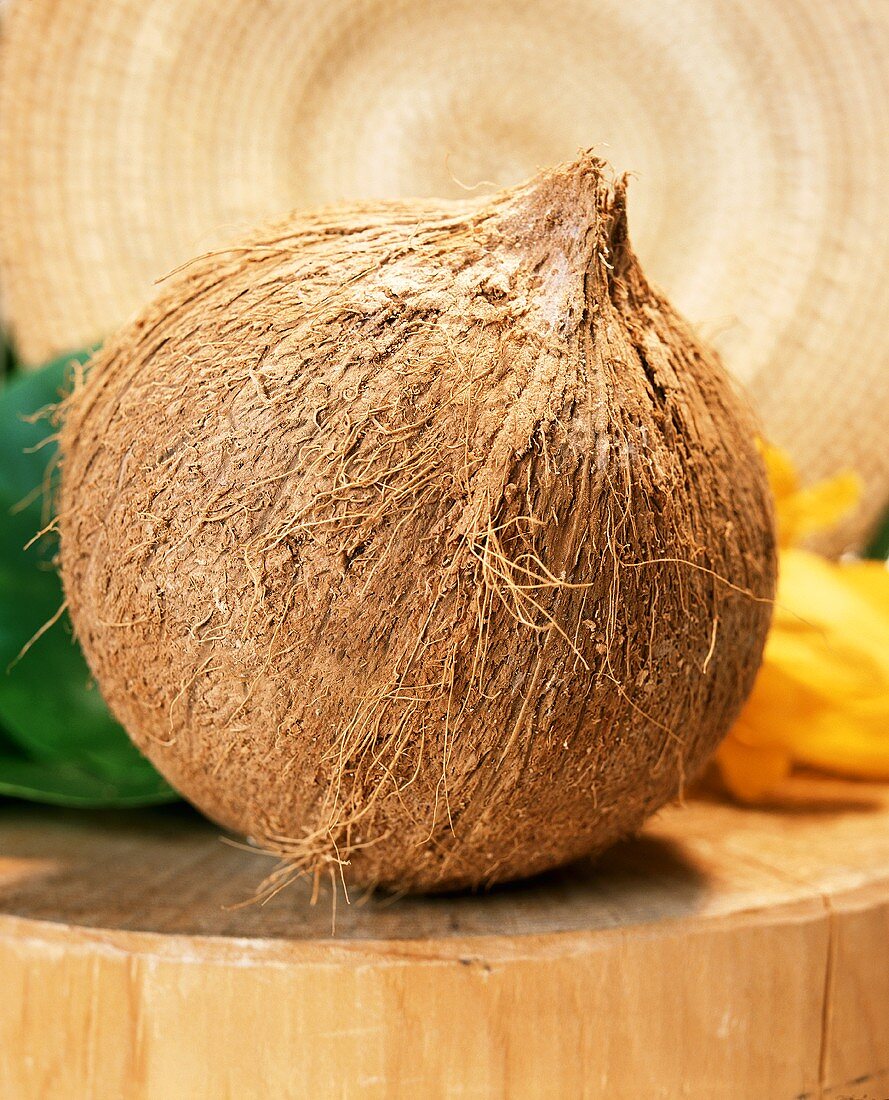 Eine Kokosnuss