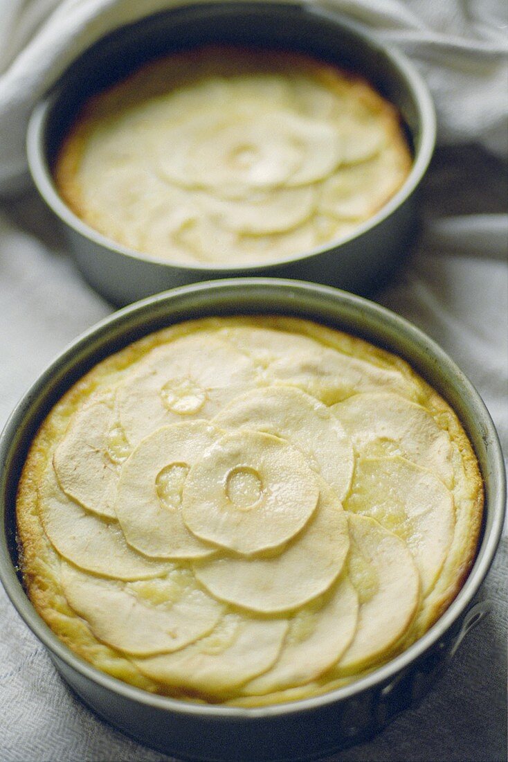 Apfelkuchen in der Form